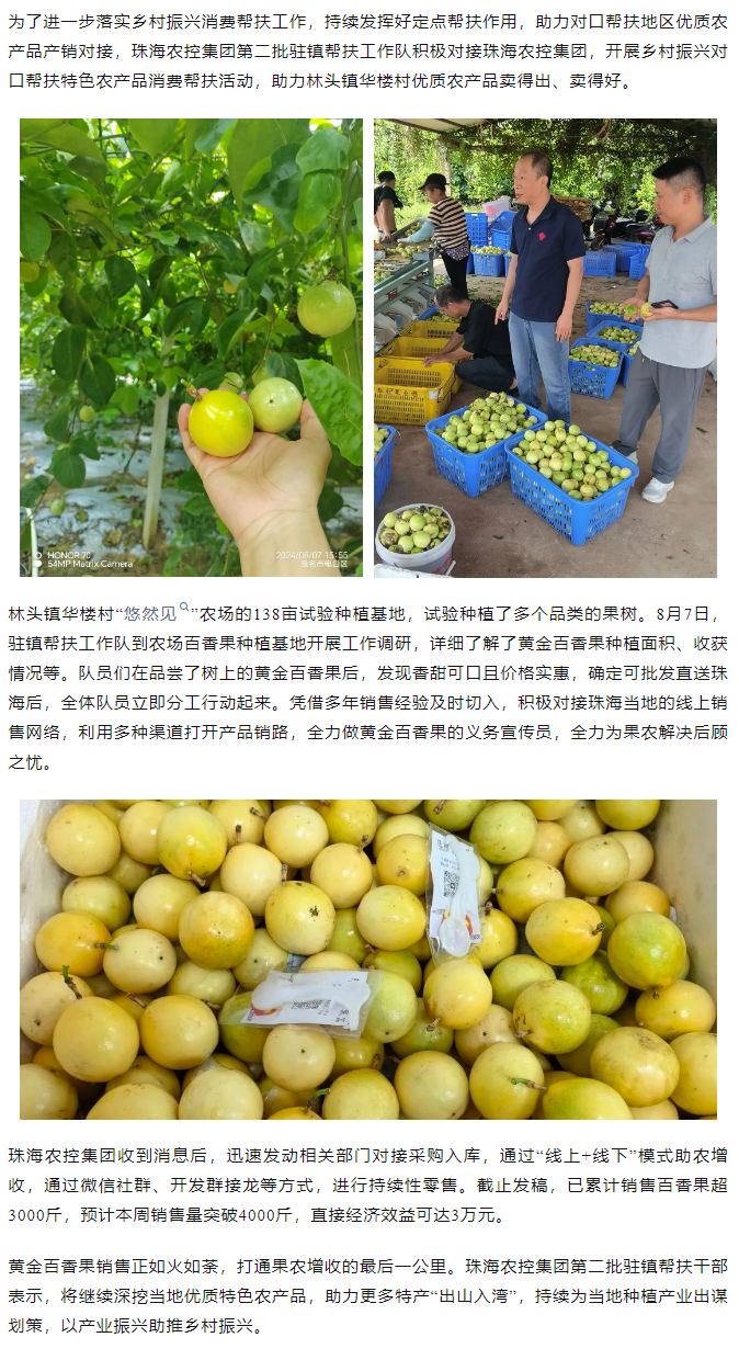XL SPORTS集团助力产销对接 对口帮扶果香飘百里.png