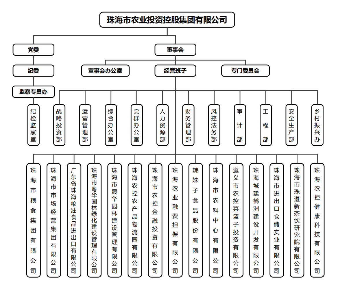 XL SPORTS集团组织架构.png